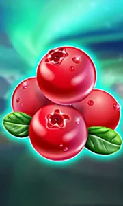 Winterberries